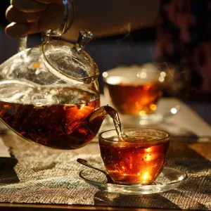 Black Tea – Bold, Full-Bodied Teas from Trusted Brands