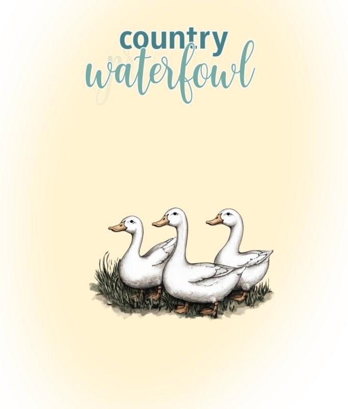 Ducks & Geese