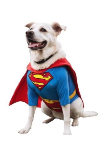 Halloween Costumes For Pets
