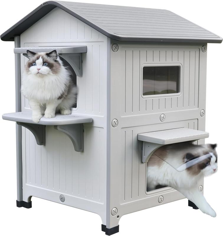 Cat House