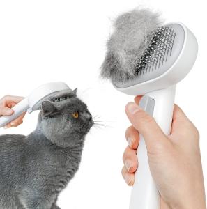 Cat Grooming