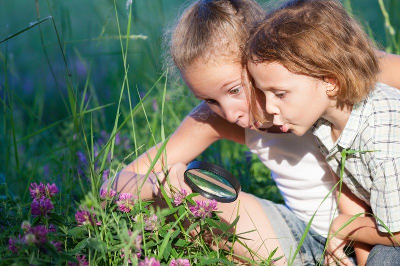 Discover the Unschooling for Grades K-5 Book Series