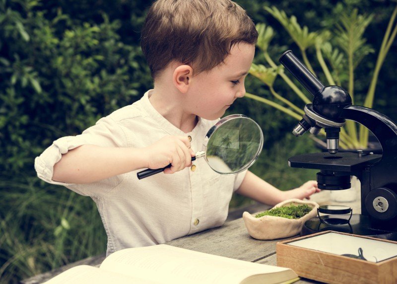 First Grade NGSS Reading Titles