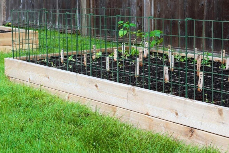 Garden Fence