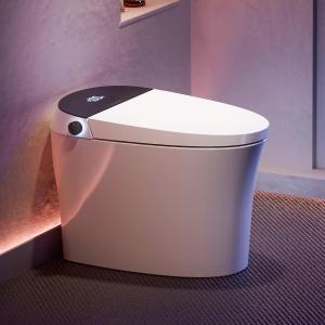 Smart Toilet