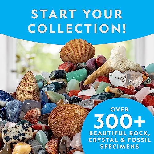 300+ Piece National Geographic Rock Collection for Kids
