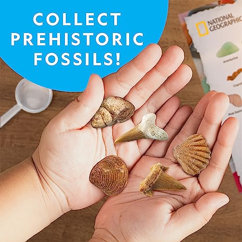 300+ Piece National Geographic Rock Collection for Kids
