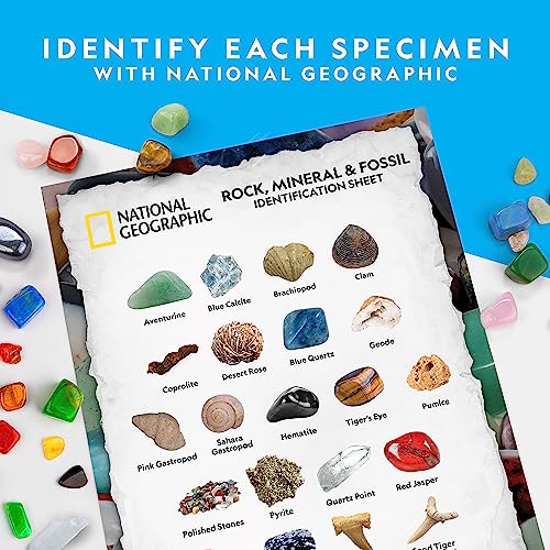 300+ Piece National Geographic Rock Collection for Kids