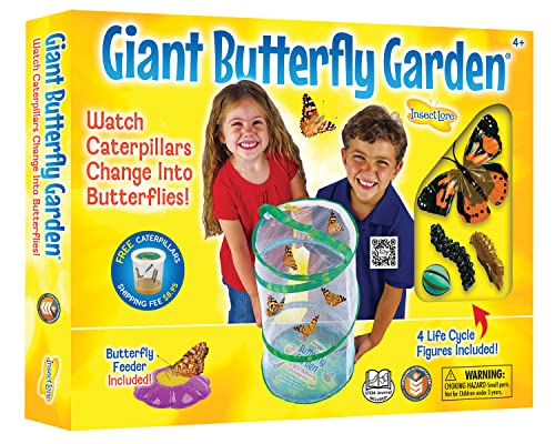 Giant Butterfly Garden Kit with Habitat & Voucher