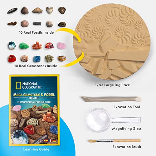 Mega Fossil and Gemstone Excavation Kit