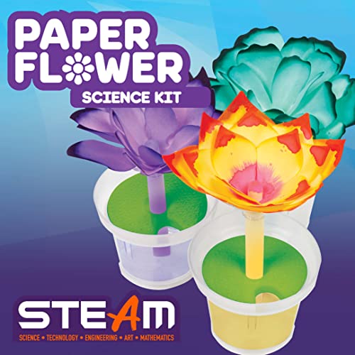 Crayola Science Kit: Color Changing Paper Flowers