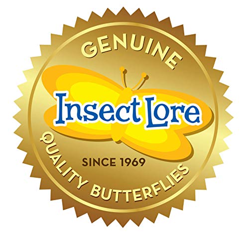 Giant Butterfly Garden Kit with Habitat & Voucher