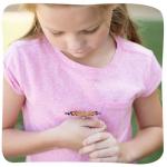 Giant Butterfly Garden Kit with Habitat & Voucher