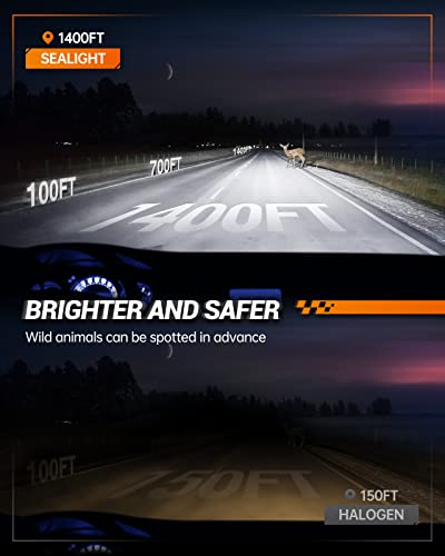 9005/HB3 & 9006/HB4 Fog Light Bulbs Combo