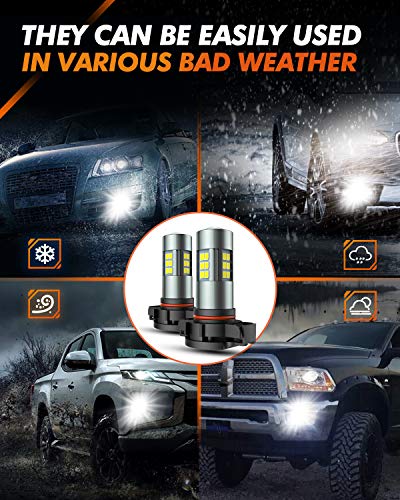 SEALIGHT 5202 LED Fog Light Bulbs - 6000K