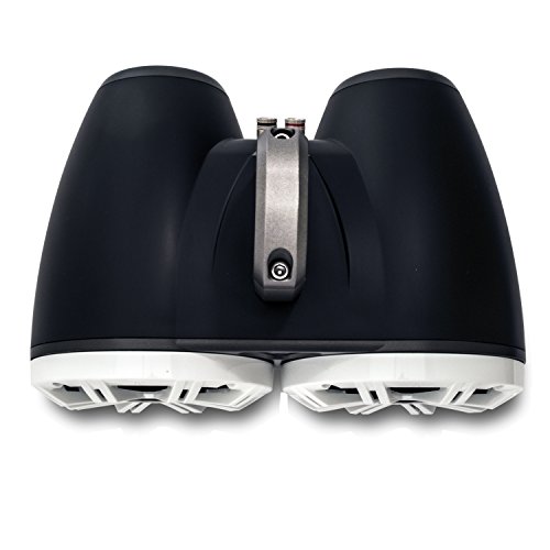 Kicker Dual Wake Tower System with 6.5" Speakers