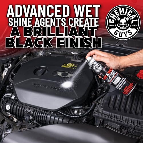 Chemical Guys Tire Shine & Trim Coating Spray
