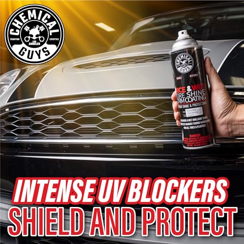 Chemical Guys Tire Shine & Trim Coating Spray