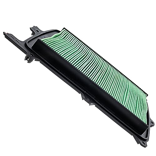 Honda Talon 1000 OEM Air Filter 17215-HL6-A00