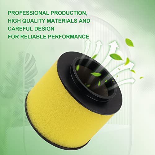 Cyleto Air Filter Cleaner for Honda Rancher