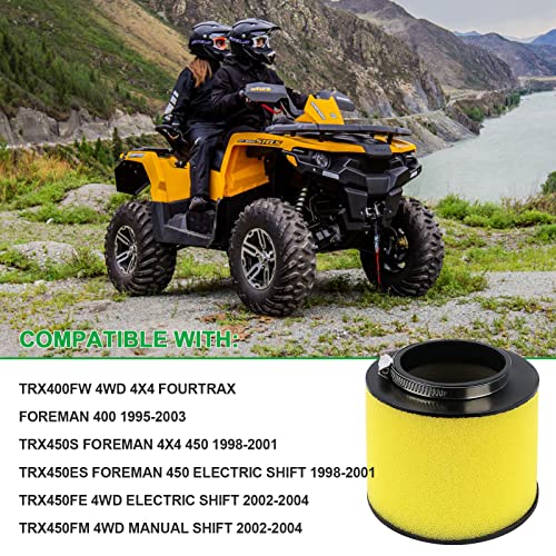 Cyleto Air Filter Cleaner for Honda Rancher