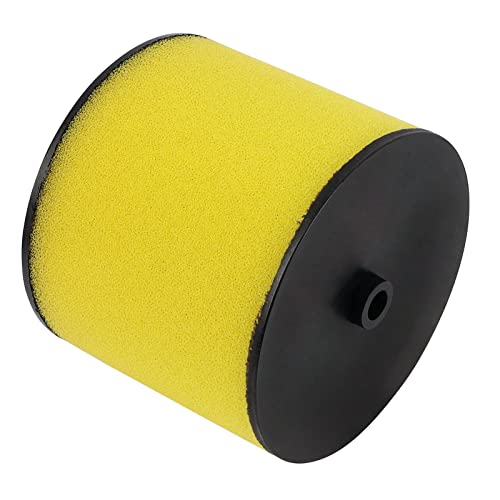 Cyleto Air Filter Cleaner for Honda Rancher