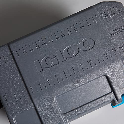 Igloo 25 Qt BMX Heavy-Duty Ice Chest Cooler