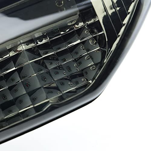 Waterproof LED Tail Light for Honda TRX