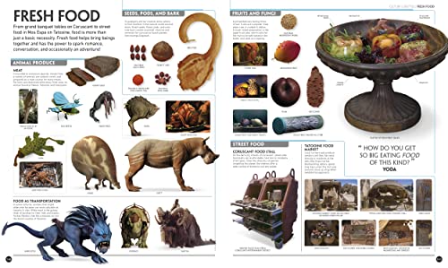 Star Wars Visual Guide Book