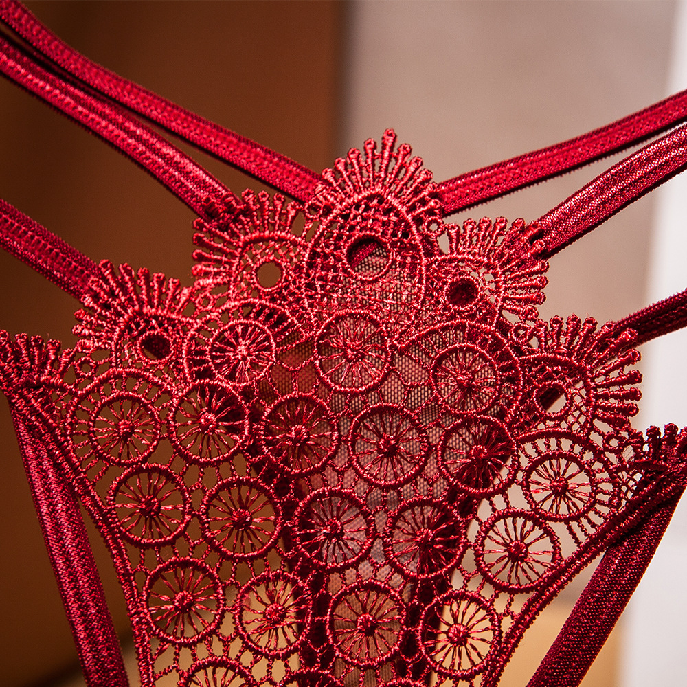 Embroidered Crossover Cutout Thong: Sexy Sheer Mesh Lingerie