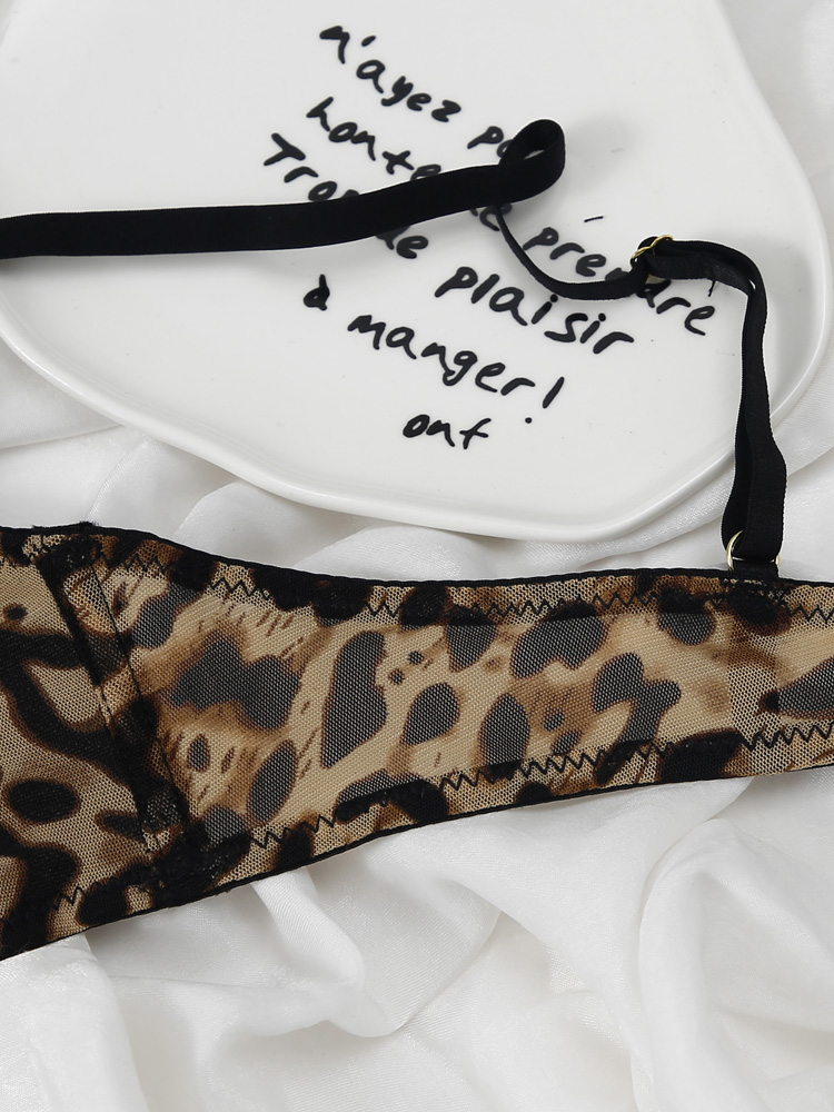 Leopard Printed Underwire Bra Set with Sheer Mesh