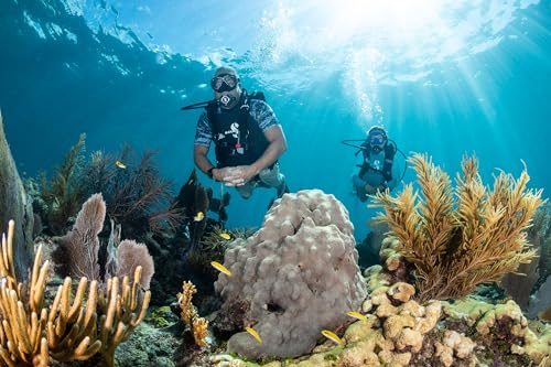 SCUBAPRO MK11/C370 Diving Regulator Set