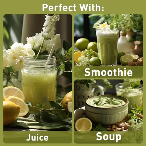 Organic Pumpkin Seed Protein Powder: Enhance Immune Function