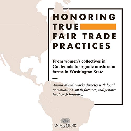 Organic Ashwagandha Root Powder - Calming Herbal Supplement