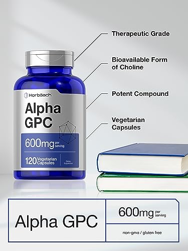 Horbäach Alpha GPC 600mg Choline Capsules for Biohacking
