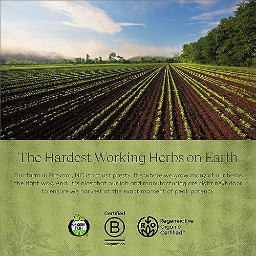 Thyroid Support with Ashwagandha and Natural Ingredients - 120 Capsules