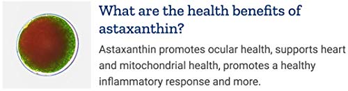 2023 MacuGuard Softgels x 2 - Biohacking Formula Upgrade