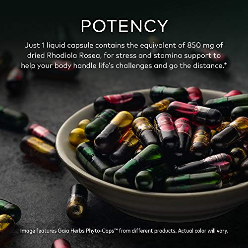 Gaia Herbs Rhodiola Rosea Vegan Capsules - Stress Support
