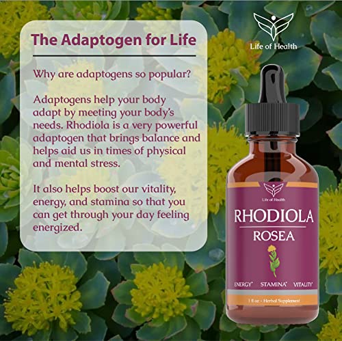 Rhodiola Rosea Extract for Energy, Stamina, Cognitive Support