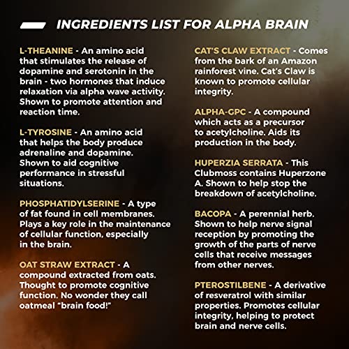 ONNIT Alpha Brain Supplement for Focus & Memory