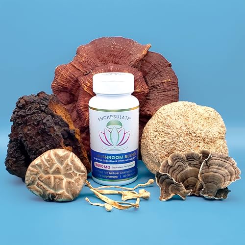 6 Mushroom Blend Caps - Reishi, Chaga, Lion's Mane