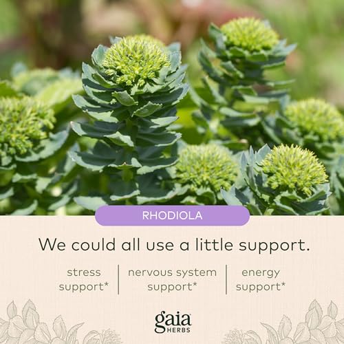 Adrenal Health Daily Support Herbal Supplement 120 Capsules