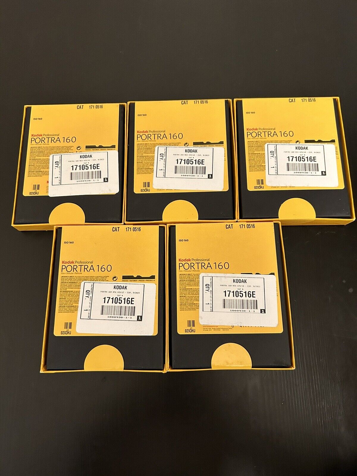 Vintage Portra 160 and 400 4x5 Film Set