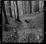 Hasselblad 500C 6x6 120 Film Camera w/ Zeiss Planar 80mm f/2.8 [FILM TESTED!]