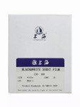 Shanghai GP3 4x5 Black & White Film - 25 Sheets