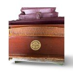 1890s Premo View Camera by Rochester Optical Co