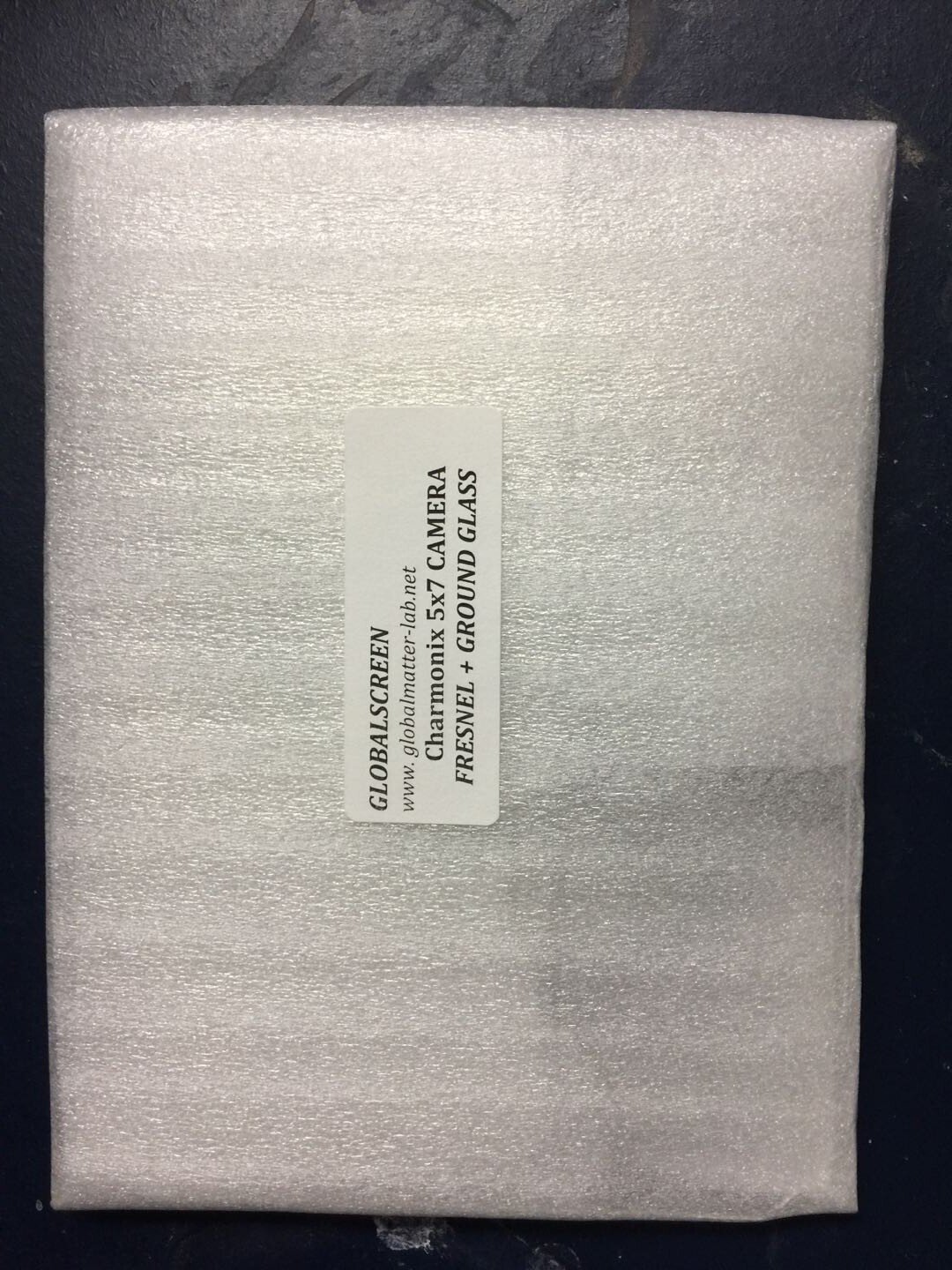 Chamonix 5x7 View Camera with Fresnel Lens