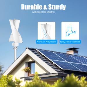 100W Vertical Wind Turbine Generator with Controller