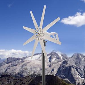 600W Hybrid Wind Turbine Generator Kit for Home