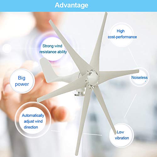AIBOAT 800W 6 Blade Horizontal Wind Turbine (24V)
